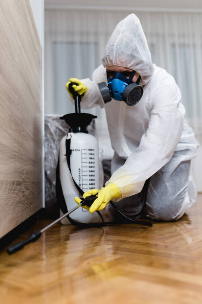 Best Fumigation Services  in Renovo, PA